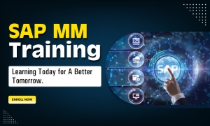 What is the Importance of SAP MM Module?
